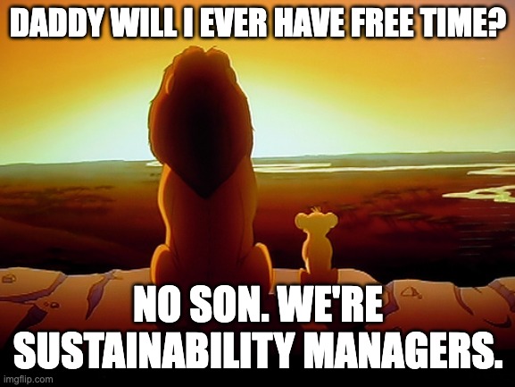 sustainability manager | DADDY WILL I EVER HAVE FREE TIME? NO SON. WE'RE SUSTAINABILITY MANAGERS. | image tagged in memes,lion king | made w/ Imgflip meme maker