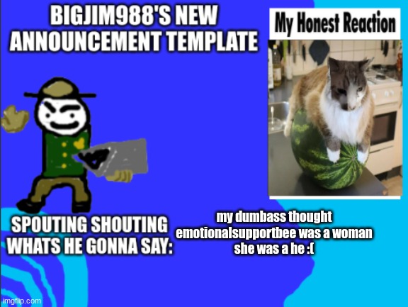it was a discord call | my dumbass thought emotionalsupportbee was a woman
she was a he :( | image tagged in bigjim998s new template | made w/ Imgflip meme maker