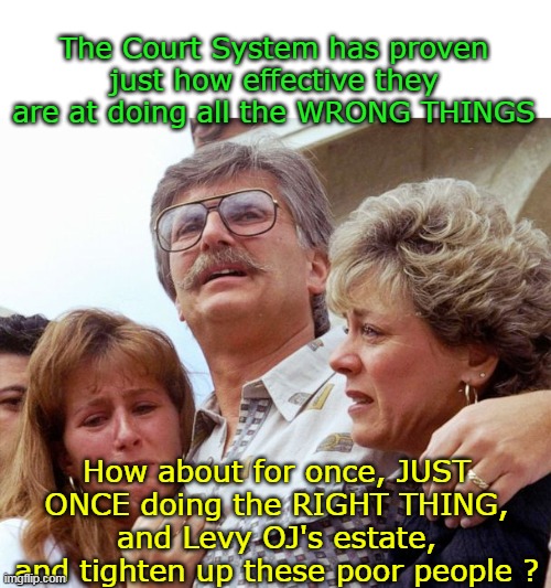 (e.g. What they have been doing to Trump ad nauseam) | The Court System has proven just how effective they are at doing all the WRONG THINGS; How about for once, JUST ONCE doing the RIGHT THING, and Levy OJ's estate, and tighten up these poor people ? | image tagged in oj estate goldman family meme | made w/ Imgflip meme maker