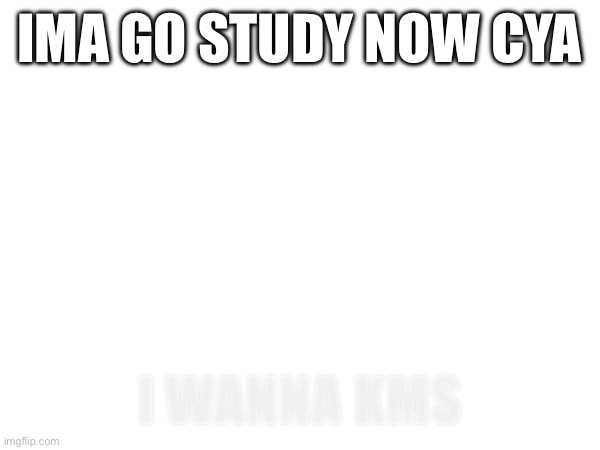 IMA GO STUDY NOW CYA; I WANNA KMS | made w/ Imgflip meme maker