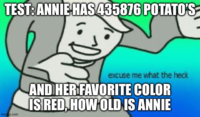 THE TEST AINT HARD | TEST: ANNIE HAS 435876 POTATO’S; AND HER FAVORITE COLOR IS RED, HOW OLD IS ANNIE | image tagged in excuse me what the heck | made w/ Imgflip meme maker