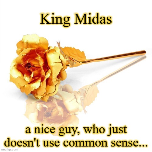 golden rose | King Midas; a nice guy, who just doesn't use common sense... | image tagged in golden rose | made w/ Imgflip meme maker