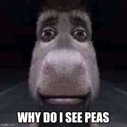 Donkey staring | WHY DO I SEE PEAS | image tagged in donkey staring | made w/ Imgflip meme maker