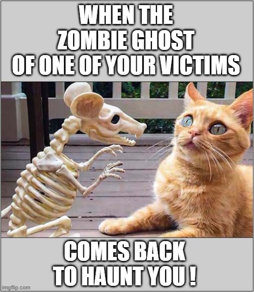 Scared Cat ! | WHEN THE ZOMBIE GHOST
OF ONE OF YOUR VICTIMS; COMES BACK TO HAUNT YOU ! | image tagged in cats,rat,skeleton,haunted | made w/ Imgflip meme maker