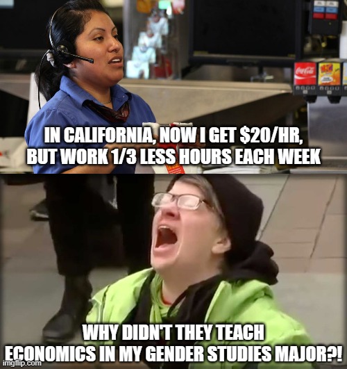 IN CALIFORNIA, NOW I GET $20/HR, BUT WORK 1/3 LESS HOURS EACH WEEK; WHY DIDN'T THEY TEACH ECONOMICS IN MY GENDER STUDIES MAJOR?! | image tagged in here's your order,trump sjw no | made w/ Imgflip meme maker
