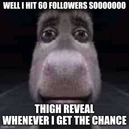 Donkey staring | WELL I HIT 60 FOLLOWERS SOOOOOOO; THIGH REVEAL WHENEVER I GET THE CHANCE | image tagged in donkey staring | made w/ Imgflip meme maker