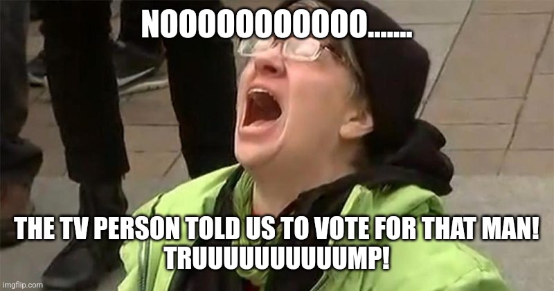 crying liberal | NOOOOOOOOOOO....... THE TV PERSON TOLD US TO VOTE FOR THAT MAN!
TRUUUUUUUUUUMP! | image tagged in crying liberal | made w/ Imgflip meme maker