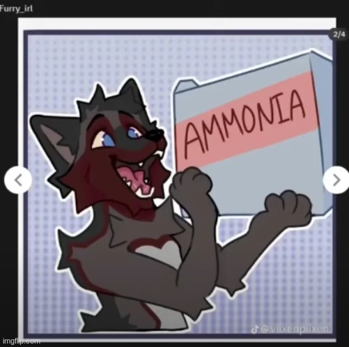 furry bleach | image tagged in furry bleach | made w/ Imgflip meme maker