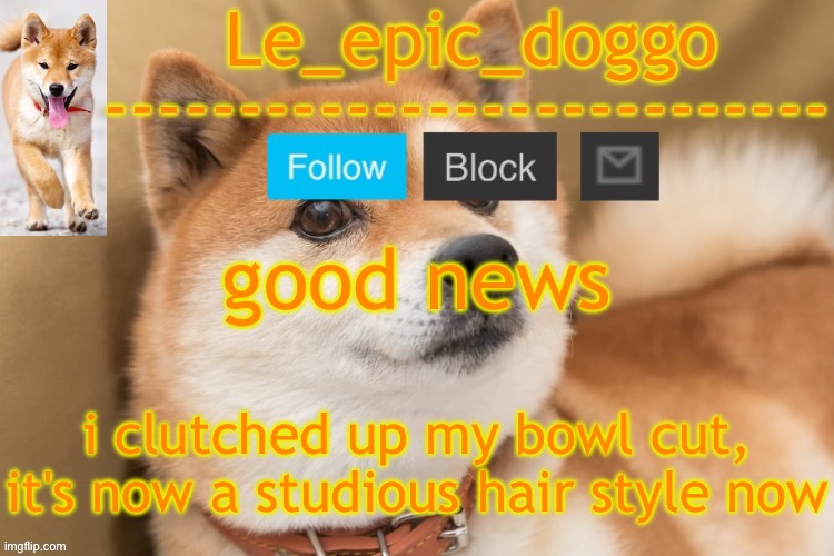epic doggo's temp back in old fashion | good news; i clutched up my bowl cut, it's now a studious hair style now | image tagged in epic doggo's temp back in old fashion | made w/ Imgflip meme maker