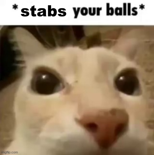 X your balls | stabs | image tagged in x your balls | made w/ Imgflip meme maker