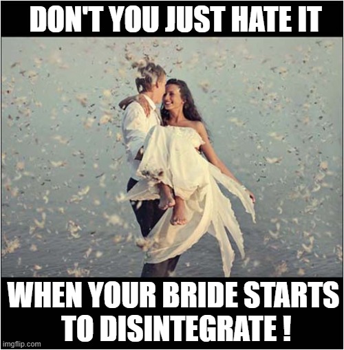 A Short Lived Marriage ! | DON'T YOU JUST HATE IT; WHEN YOUR BRIDE STARTS
 TO DISINTEGRATE ! | image tagged in marriage,bride,disintegrates,dark humour | made w/ Imgflip meme maker