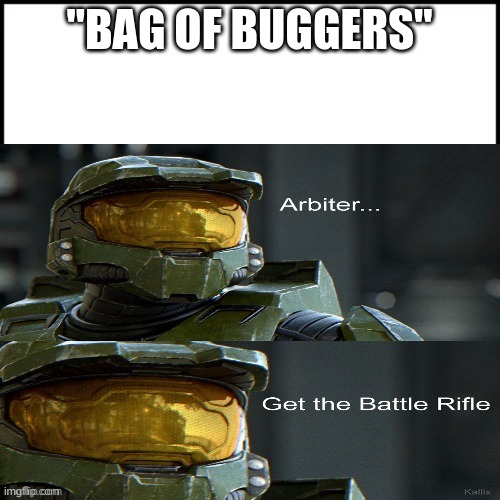 Halo, arbiter get the battle rifle | "BAG OF BUGGERS" | image tagged in halo arbiter get the battle rifle | made w/ Imgflip meme maker