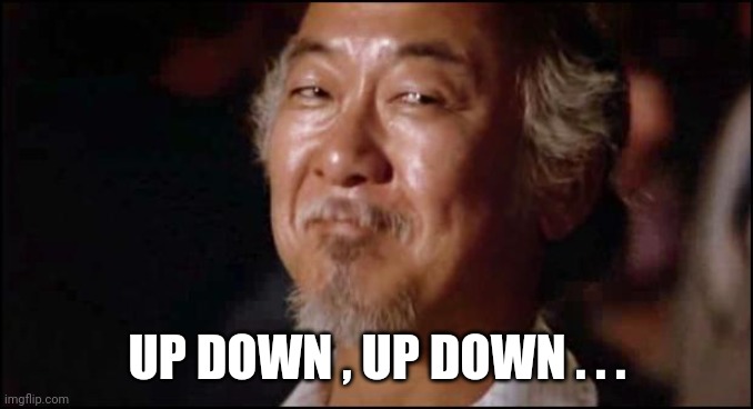 Mr Miyagi Smiling | UP DOWN , UP DOWN . . . | image tagged in mr miyagi smiling | made w/ Imgflip meme maker