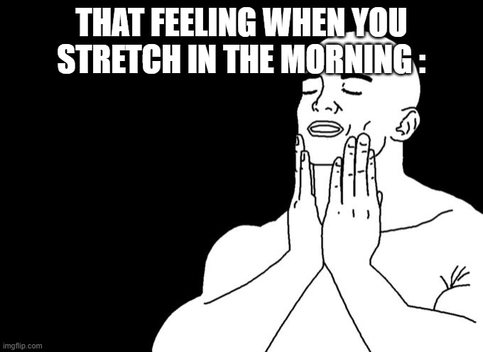 its quite refreshing | THAT FEELING WHEN YOU STRETCH IN THE MORNING : | image tagged in satisfied | made w/ Imgflip meme maker