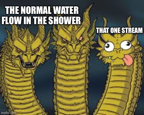 Three Dragon Heads | THE NORMAL WATER FLOW IN THE SHOWER; THAT ONE STREAM | image tagged in three dragon heads | made w/ Imgflip meme maker