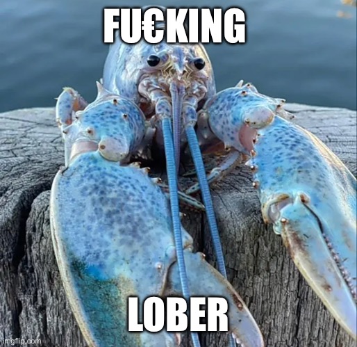 Fu€king lober | FU€KING; LOBER | image tagged in the blue lobster | made w/ Imgflip meme maker