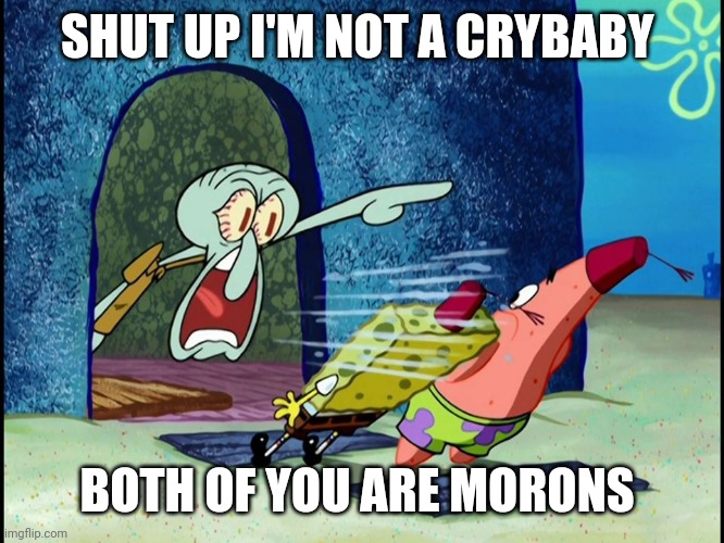 Squidward Screaming | SHUT UP I'M NOT A CRYBABY BOTH OF YOU ARE MORONS | image tagged in squidward screaming | made w/ Imgflip meme maker