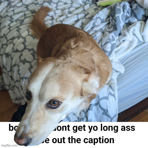 made w/ Imgflip meme maker