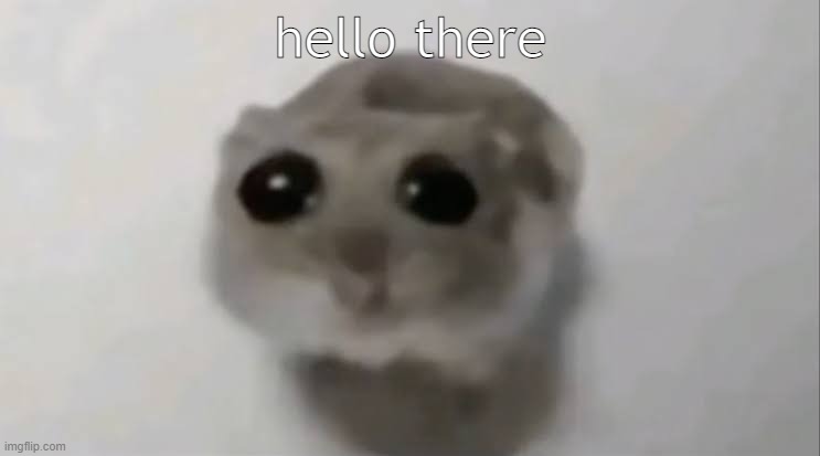 Sad Hamster | hello there | image tagged in sad hamster | made w/ Imgflip meme maker