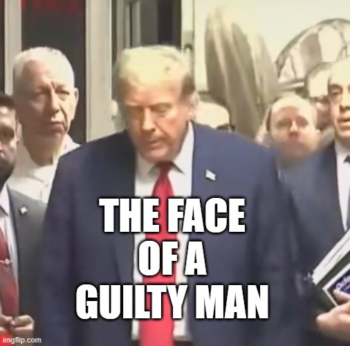 THE FACE
OF A
GUILTY MAN | image tagged in trump,guilty | made w/ Imgflip meme maker