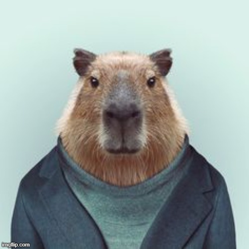 literally a dog but high on meth | image tagged in what if i told you capybara | made w/ Imgflip meme maker