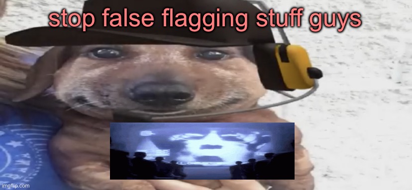 chucklenuts | stop false flagging stuff guys | image tagged in chucklenuts | made w/ Imgflip meme maker