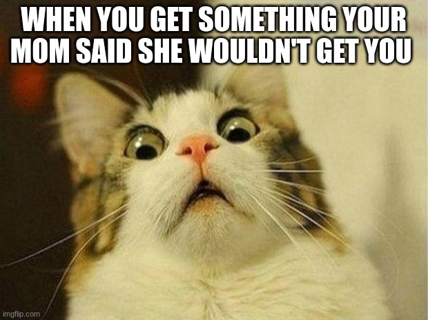 the pure confusion is halarious | WHEN YOU GET SOMETHING YOUR MOM SAID SHE WOULDN'T GET YOU | image tagged in memes,scared cat | made w/ Imgflip meme maker