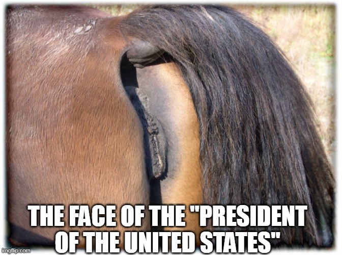 THE FACE OF THE "PRESIDENT OF THE UNITED STATES" | made w/ Imgflip meme maker
