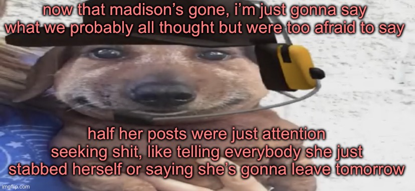 chucklenuts | now that madison’s gone, i’m just gonna say what we probably all thought but were too afraid to say; half her posts were just attention seeking shit, like telling everybody she just stabbed herself or saying she’s gonna leave tomorrow | image tagged in chucklenuts | made w/ Imgflip meme maker
