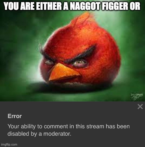 YOU ARE EITHER A NAGGOT FIGGER OR | image tagged in realistic red angry birds,your ability to comment in this stream has been disabled | made w/ Imgflip meme maker