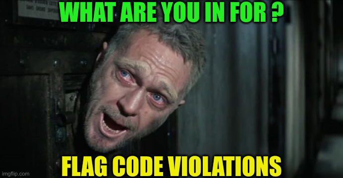 Gulag | WHAT ARE YOU IN FOR ? FLAG CODE VIOLATIONS | image tagged in papillon,political meme,politics,funny memes,funny | made w/ Imgflip meme maker