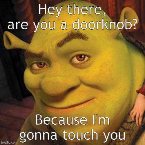 Absolutely works | Hey there, are you a doorknob? Because I'm gonna touch you | image tagged in shrek sexy face | made w/ Imgflip meme maker