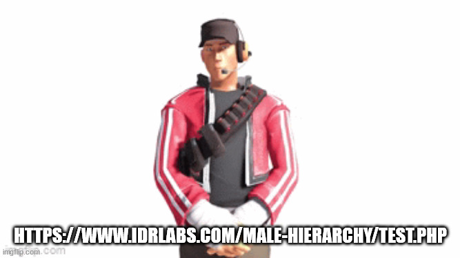 scout drip | HTTPS://WWW.IDRLABS.COM/MALE-HIERARCHY/TEST.PHP | image tagged in scout drip | made w/ Imgflip meme maker