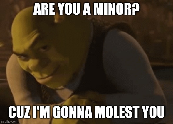 shrek rizz 2 | ARE YOU A MINOR? CUZ I'M GONNA MOLEST YOU | image tagged in shrek rizz 2 | made w/ Imgflip meme maker