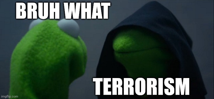 Evil Kermit Meme | BRUH WHAT; TERRORISM | image tagged in memes,evil kermit | made w/ Imgflip meme maker