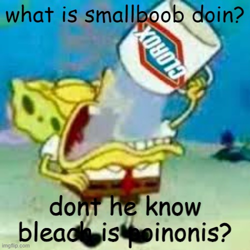 spongebob chugs bleach | what is smallboob doin? dont he know bleach is poinonis? | image tagged in spongebob chugs bleach | made w/ Imgflip meme maker