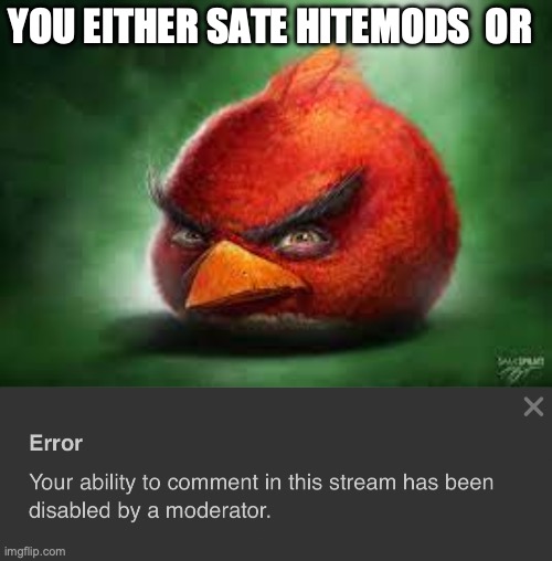 YOU EITHER SATE HITEMODS  OR | image tagged in realistic red angry birds,your ability to comment in this stream has been disabled | made w/ Imgflip meme maker