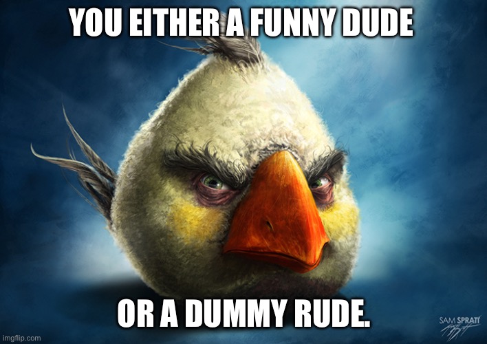 Realistic Matilda | YOU EITHER A FUNNY DUDE OR A DUMMY RUDE. | image tagged in realistic matilda | made w/ Imgflip meme maker