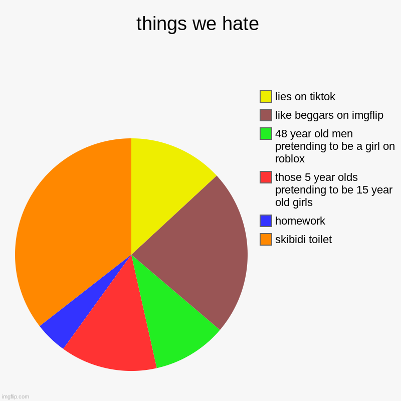 things we hate | things we hate | skibidi toilet, homework, those 5 year olds pretending to be 15 year old girls, 48 year old men pretending to be a girl on  | image tagged in charts,pie charts | made w/ Imgflip chart maker