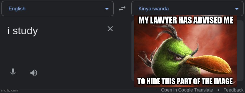 MY LAWYER HAS ADVISED ME; TO HIDE THIS PART OF THE IMAGE | made w/ Imgflip meme maker
