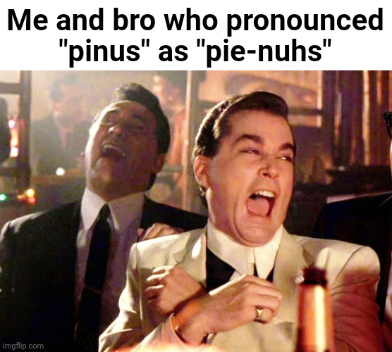 Good Fellas Hilarious Meme | Me and bro who pronounced "pinus" as "pie-nuhs" | image tagged in memes,good fellas hilarious | made w/ Imgflip meme maker