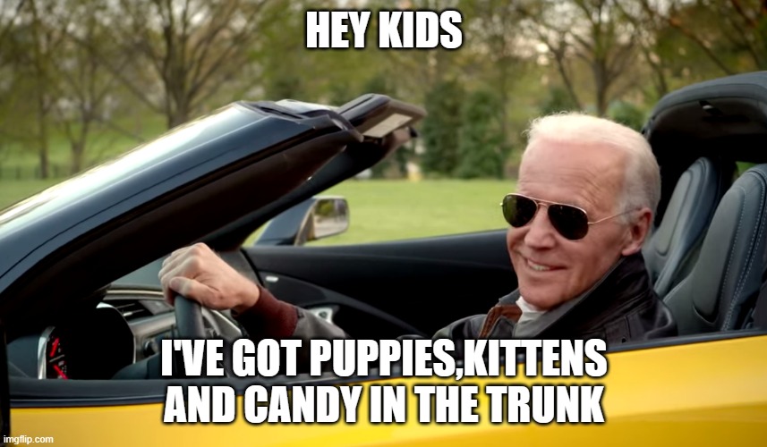 Biden car | HEY KIDS; I'VE GOT PUPPIES,KITTENS AND CANDY IN THE TRUNK | image tagged in biden car | made w/ Imgflip meme maker