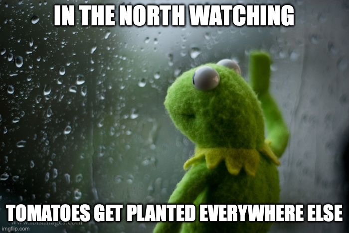 kermit window | IN THE NORTH WATCHING; TOMATOES GET PLANTED EVERYWHERE ELSE | image tagged in kermit window | made w/ Imgflip meme maker