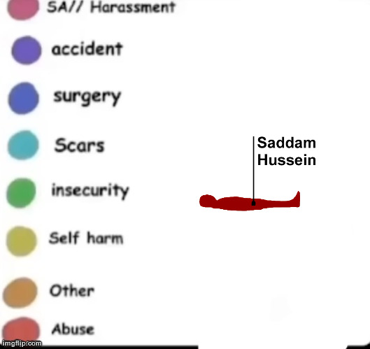 not wrong, saddam technically died of abuse | image tagged in make your own | made w/ Imgflip meme maker