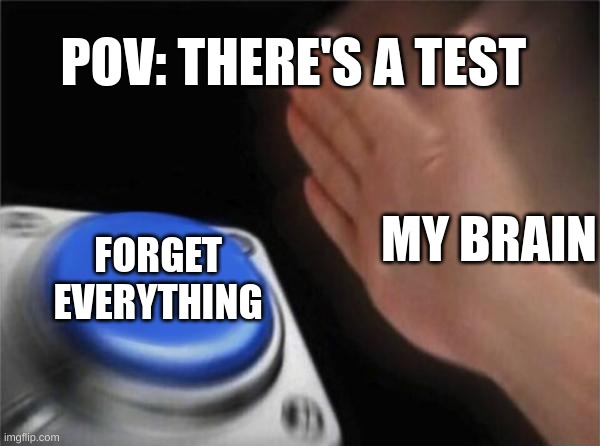 school memes | POV: THERE'S A TEST; MY BRAIN; FORGET EVERYTHING | image tagged in memes,blank nut button,funny,school,test,brain | made w/ Imgflip meme maker