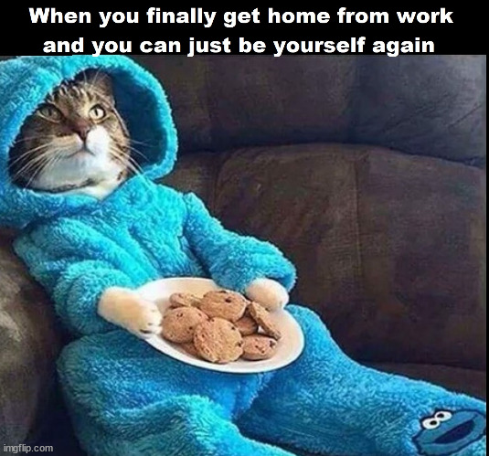 Now That's Better! | image tagged in funny memes,cat,funny | made w/ Imgflip meme maker