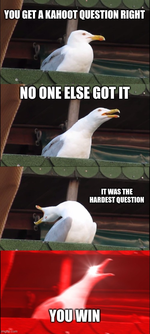 SO... | YOU GET A KAHOOT QUESTION RIGHT; NO ONE ELSE GOT IT; IT WAS THE HARDEST QUESTION; YOU WIN | image tagged in memes,inhaling seagull | made w/ Imgflip meme maker