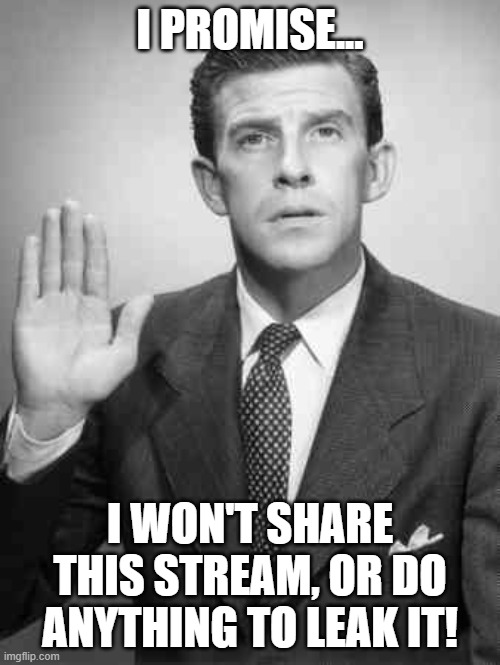 you have my word! | I PROMISE... I WON'T SHARE THIS STREAM, OR DO ANYTHING TO LEAK IT! | image tagged in i promise | made w/ Imgflip meme maker