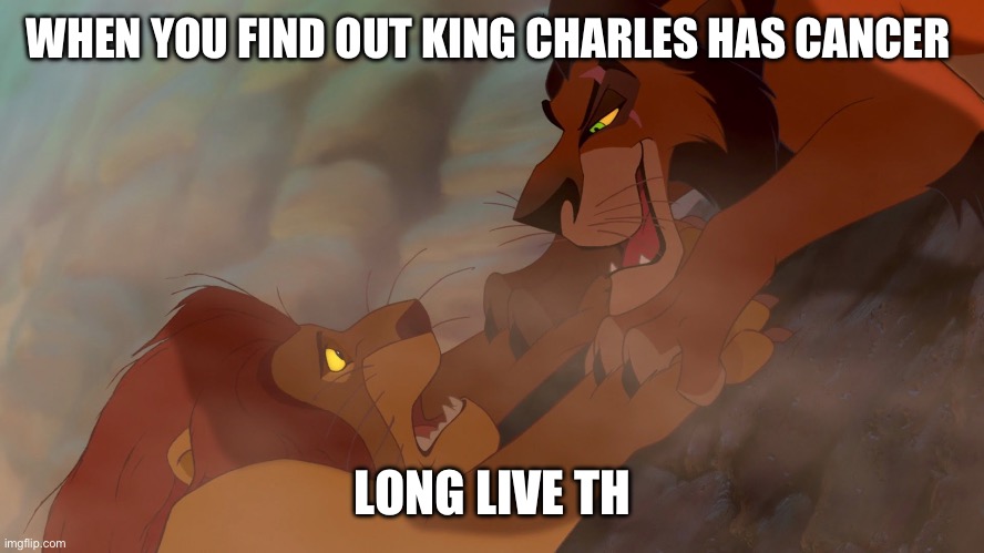 Long Live The King | WHEN YOU FIND OUT KING CHARLES HAS CANCER; LONG LIVE THE KING | image tagged in long live the king | made w/ Imgflip meme maker