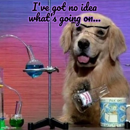 I Have No Idea What I Am Doing Dog Meme | I've got no idea what's going on... | image tagged in memes,i have no idea what i am doing dog | made w/ Imgflip meme maker